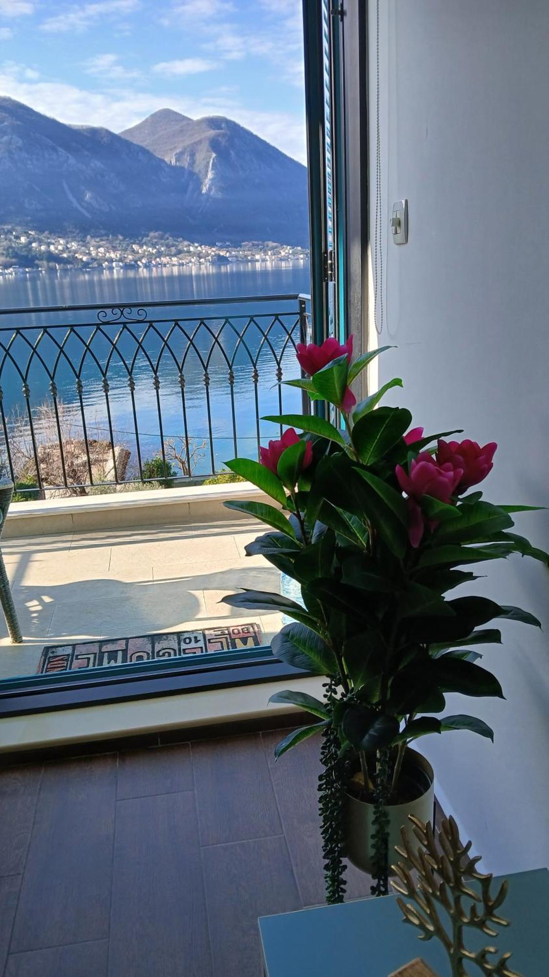 Apartment Funny Kotor Exterior foto